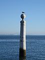 * Nomination Yellow-legged gull in Lisbon, Portugal -- Alvesgaspar 13:41, 4 January 2015 (UTC) * Promotion Good quality. --Cccefalon 13:49, 4 January 2015 (UTC)