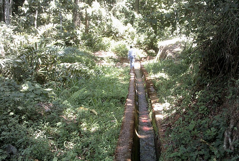 File:LivingstoniaWatercourse.jpg