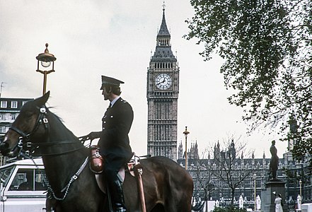 Metropolitan Police Service