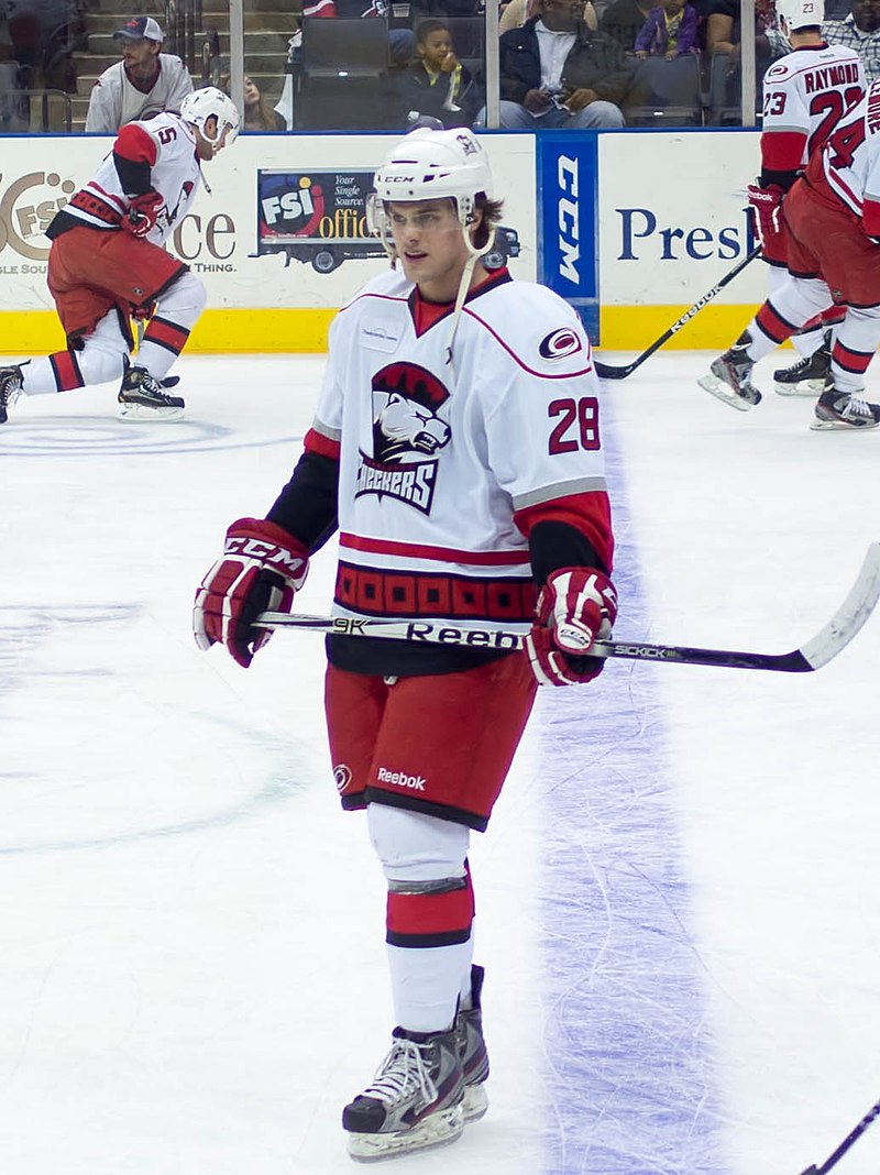 Luke Pither of the Adirondack Phantoms reacts after scoring a game News  Photo - Getty Images