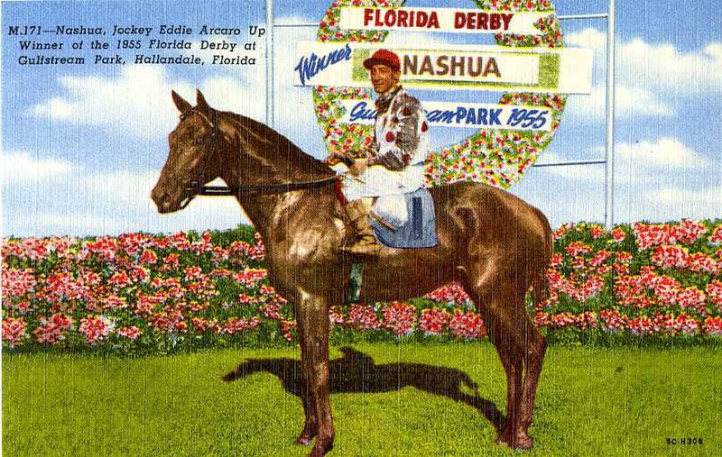 File:M171, Nashua, Jockey Eddie Arcaro Up Winner of the 1955 Florida Derby at Gulfstream Park (NBY 5639).jpg