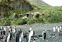 Green Gorge Hut