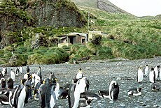 Green Gorge Hut