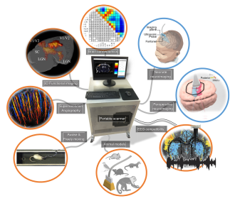 Main applications and features of functional ultrasound (fUS) imaging Main applications and features of functional ultrasound (fUS) imaging.svg