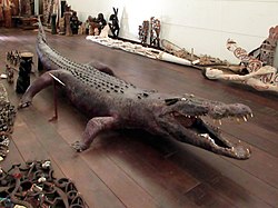 Male Crocodile (48290419611).jpg