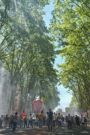 Français : Manifestation contre la loi travail à Toulouse, le 23 juin 2016 English: Demonstration against French labour law in Toulouse, June 23, 2016