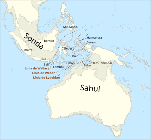 Continent Australià: Terminologia, Geografia, Geologia