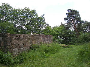 Weißenstein castle ruins