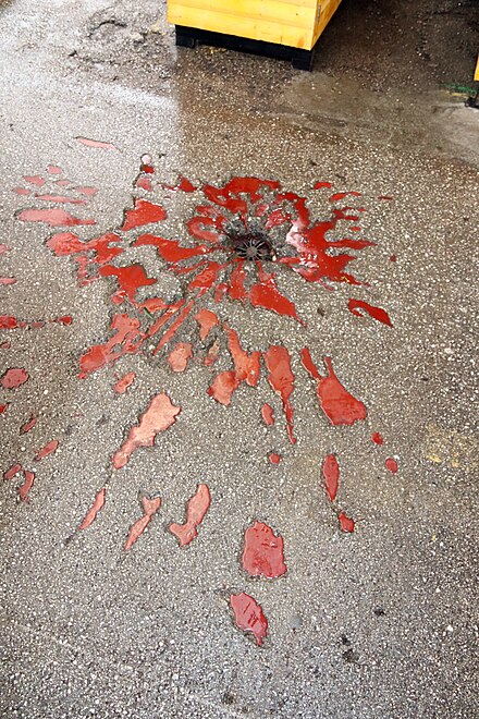 Sarajevo Rose marking first Markale massacre