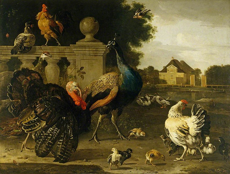 File:Melchior de Hondecoeter (1636-1695) - A Turkey Cock and Other Birds in a Garden - 446719 - National Trust.jpg