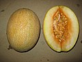 Melon 9.jpg