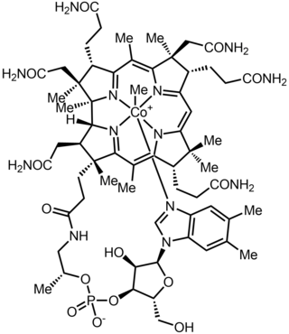 <span class="mw-page-title-main">Methylcobalamin</span> Form of vitamin B12