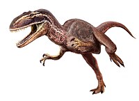 Metriacanthosaurus Metriacanthosaurus.jpg