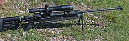 Mini Hecate-338 Lapua Magnum-01.jpg