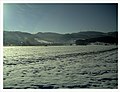 Minus 10 Grad Celsius Frost Black Forest - Magic Rhine Valley Photography - panoramio.jpg