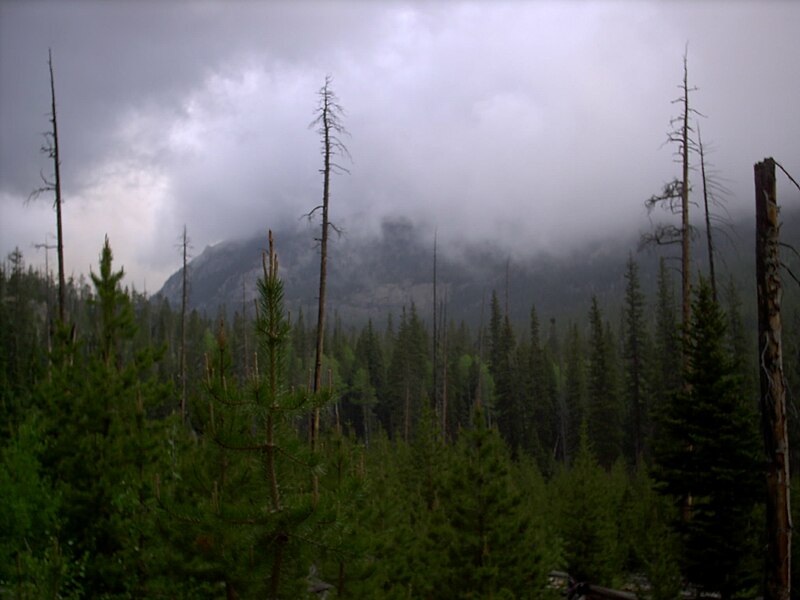 File:Misty mountains.JPG