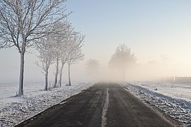 Morning fog in Upper Silesia