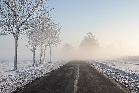 "Morning_fog_in_Upper_Silesia.jpg" by User:Pudelek