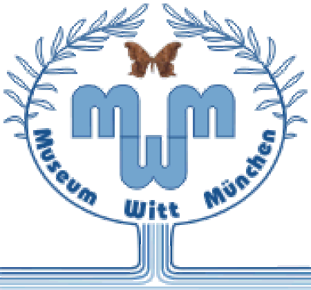 Museum Witt München