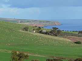 Oblast Myponga Beach.JPG