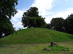 Plytenberg with 1 linden tree and boulder