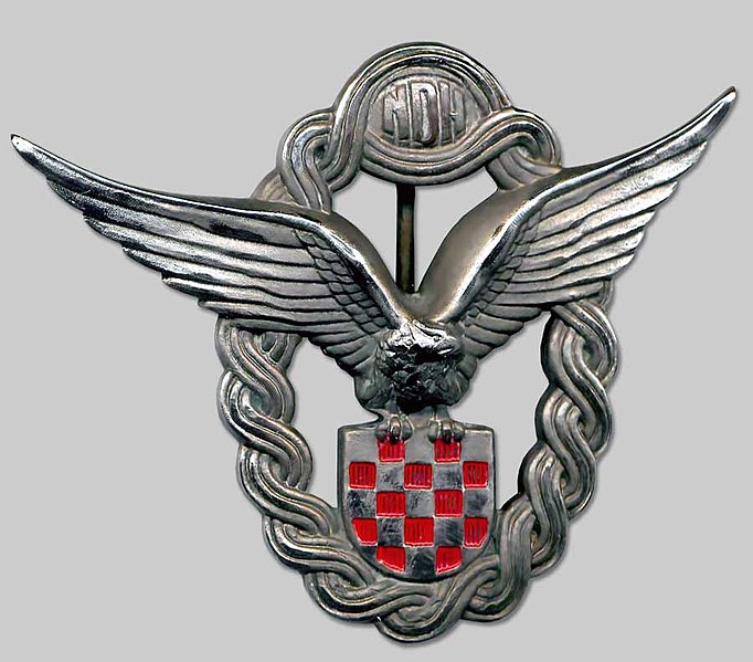 File:NDH Air Force badge.jpg