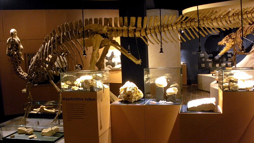 NHM Maastricht, 2011, Hadrosaurus01