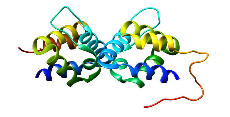 File:NLRP3 protein.png