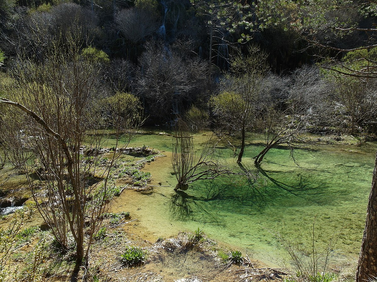 Dónde está el nacimiento del río cuervo