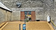 Thumbnail for Naturhistorisk Museum