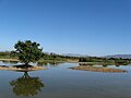 Miniatura per Parc Natural dels Aiguamolls de l'Empordà