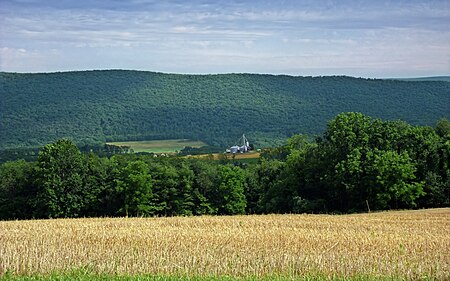 Nescopeck Mountain