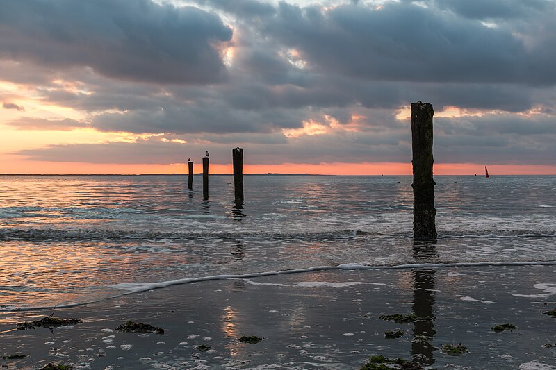 File:Norderney, Weststrand -- 2016 -- 5223.jpg