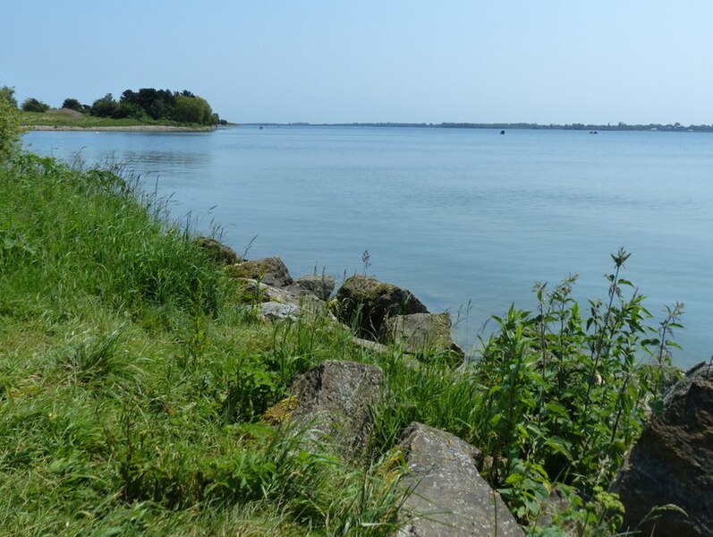 File:Northern shoreline of Grafham Water - geograph.org.uk - 6009362.jpg