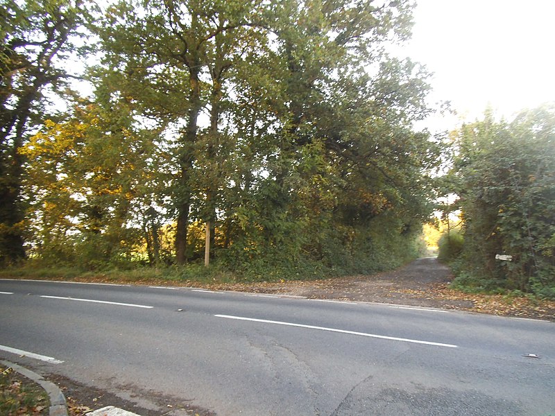 File:Ockham Lane North, West Horsley - geograph.org.uk - 4211597.jpg