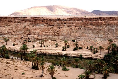 Wadi