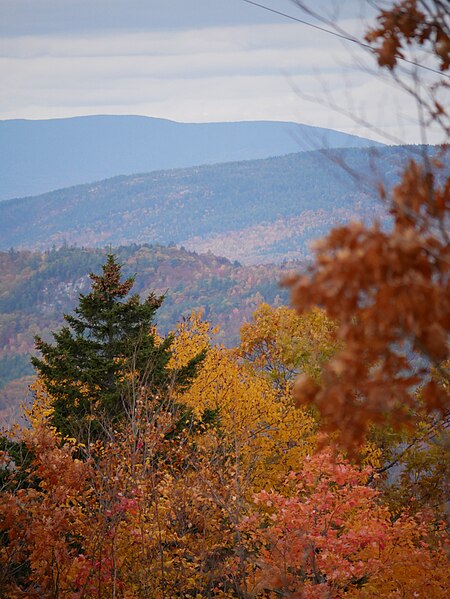 Typical fall landscape in Oxford County, ME.