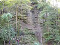 Deutsch: Felswand in der Pähler Schlucht English: Rock wall in Pähler Schlucht