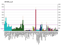 PBB GE ATP6AP2 201443 s bei fs.png