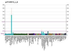 PBB GE PSPH gnf1h09519 s fs.png'de