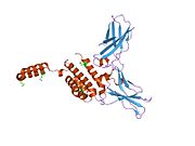 PDB 1y6n EBI.jpg