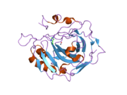 2fnn: Activation of human carbonic anhydrase II by exogenous proton donors