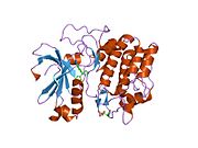 PDB 2uw9 EBI.jpg