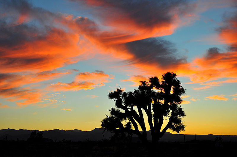 File:Paintbrush Silhouette.jpg