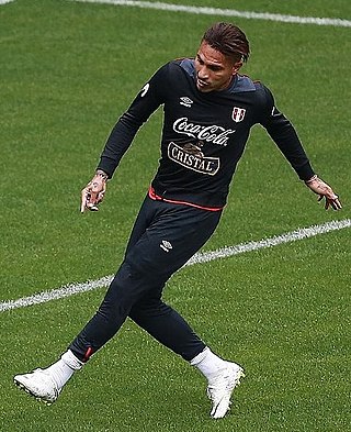 <span class="mw-page-title-main">Paolo Guerrero</span> Peruvian footballer (born 1984)