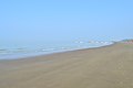 * Nomination Patenga sea beach. --Moheen Reeyad 17:49, 7 April 2017 (UTC) * Decline Insufficient quality. Not enough detail. --W.carter 08:15, 11 April 2017 (UTC)