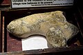 Phallic flint on display in the Museum of Witchcraft and Magic in Boscastle, Cornwall.