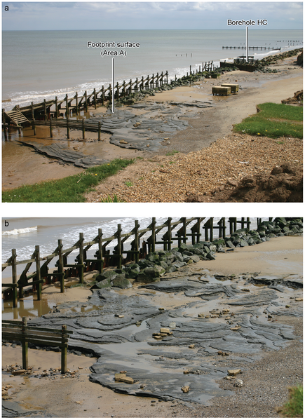 File:Photographs of Area A at Happisburgh (1).png