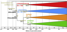 Phylogenetic analyses of Opiliones Phylogenetic Analyses of Opiliones 2014-B.png