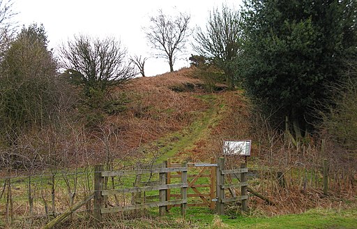 Picking Gill Nature Reserve - geograph.org.uk - 2287563
